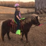 Little Pony Horse with saddle sidekick